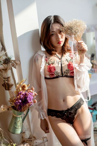 電視劇獨(dú)生子全集