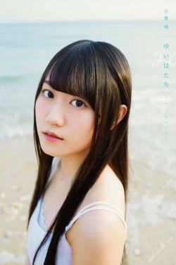 新小燕子
