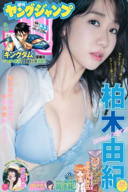 俠膽雄獅第三季