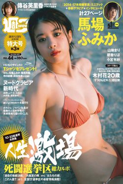 豐年輕的繼拇中文3使用方法